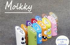 Rencontre de joueurs de Molkky au Camping 