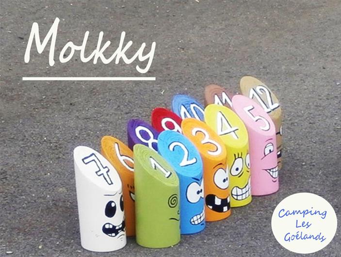 Rencontre de joueurs de Molkky au Camping 