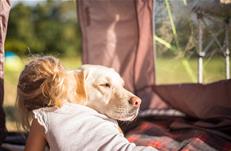 Location avec chien en camping à Ambon