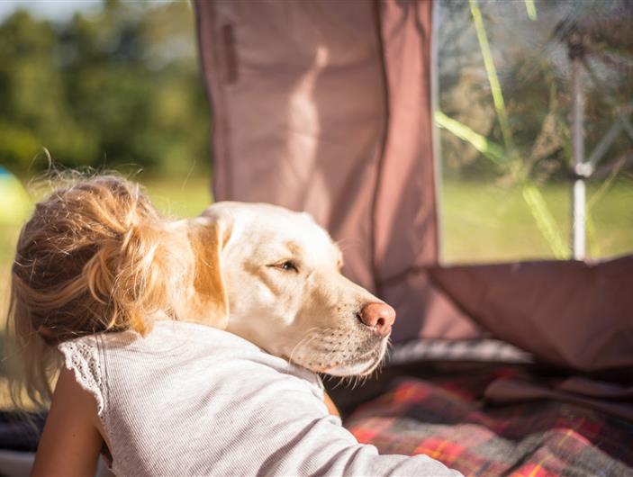 Location avec chien en camping à Ambon