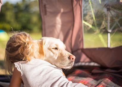 Location avec chien en camping à Ambon