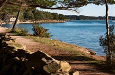 Séjour camping les Goélands proche Golfe du Morbihan