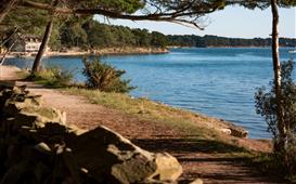 Séjour camping les Goélands proche Golfe du Morbihan
