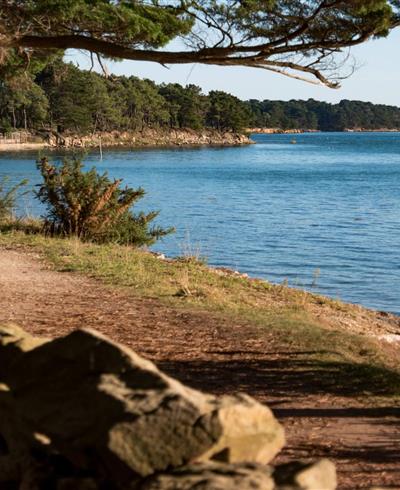 Séjour camping les Goélands proche Golfe du Morbihan