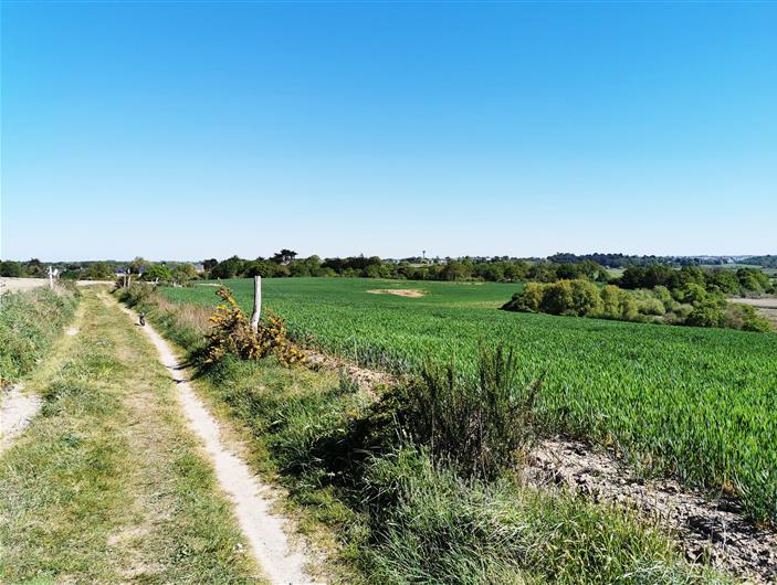 Chemin de randonnée autour du camping les Goélands à Ambon, Morbihan
