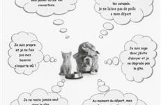 Accueil des animaux au Camping Les Goélands à Ambon - Plage