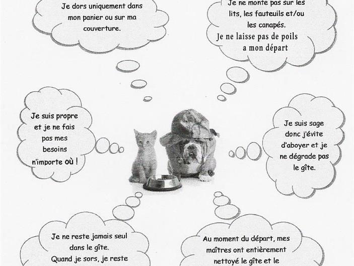 Accueil des animaux au Camping Les Goélands à Ambon - Plage