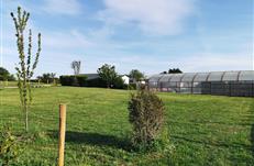 Espace jeux et terrain de pétanque sur le camping PARC 3 étoiles