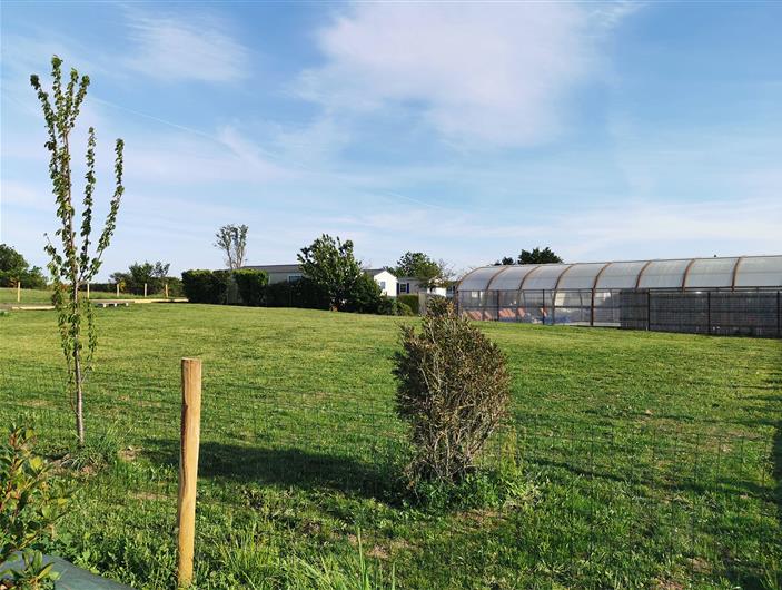 Espace jeux et terrain de pétanque sur le camping PARC 3 étoiles