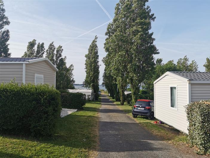 1 er allée du camping Parc Les Goélands - Vue Mer