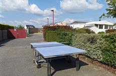 Jouez en famille au ping pong 